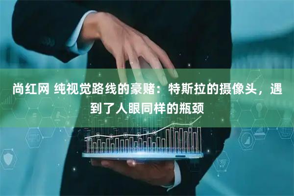 尚红网 纯视觉路线的豪赌：特斯拉的摄像头，遇到了人眼同样的瓶颈
