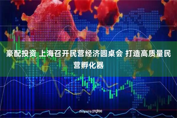 豪配投资 上海召开民营经济圆桌会 打造高质量民营孵化器