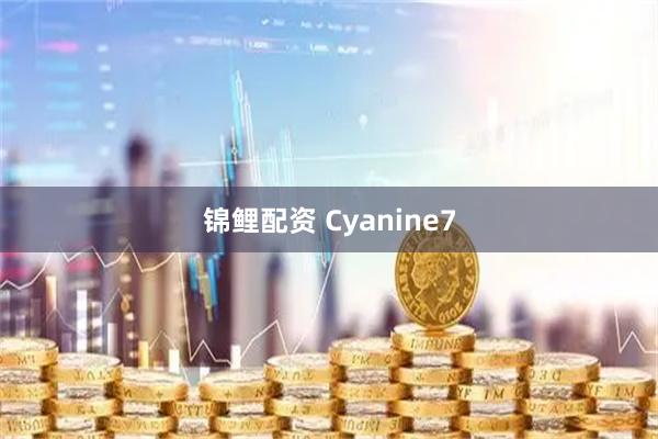锦鲤配资 Cyanine7