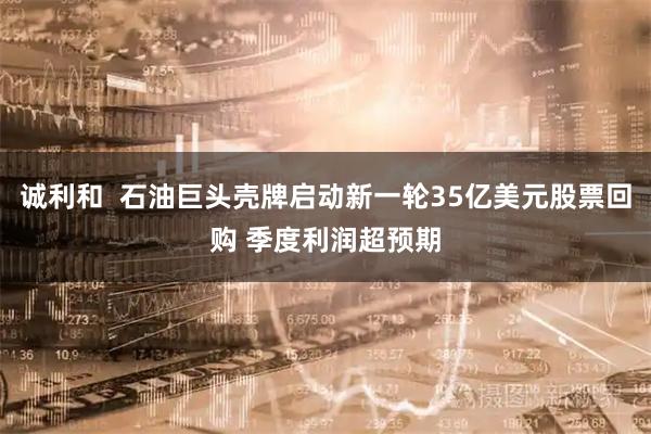 诚利和  石油巨头壳牌启动新一轮35亿美元股票回购 季度利润超预期