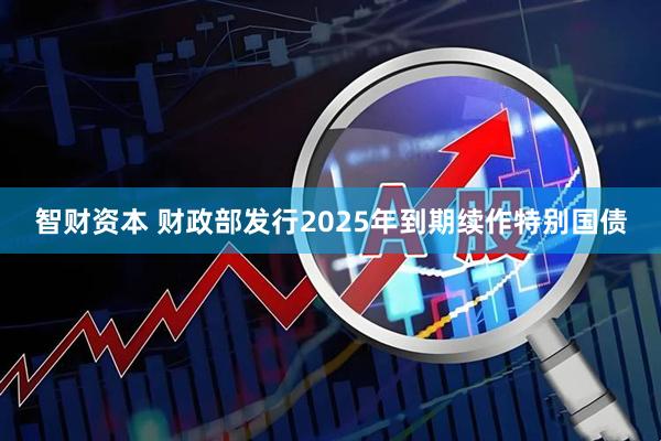 智财资本 财政部发行2025年到期续作特别国债